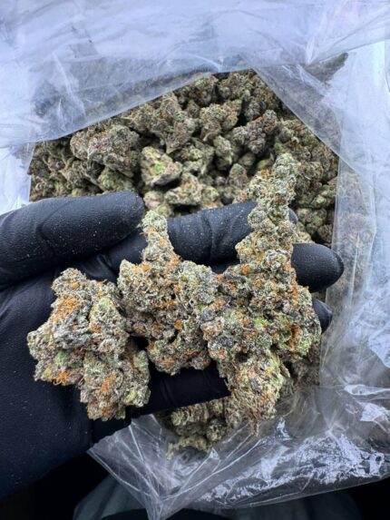 California Haze Strain