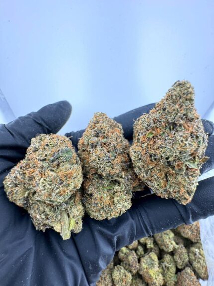 Double Cookies Strain