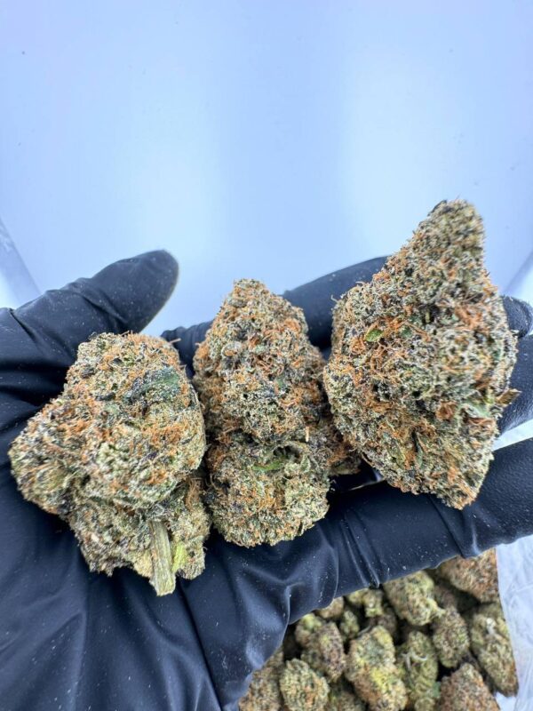 Double Cookies Strain